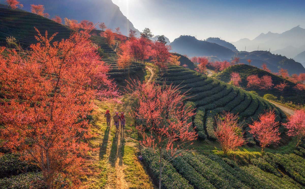 hiking in sapa